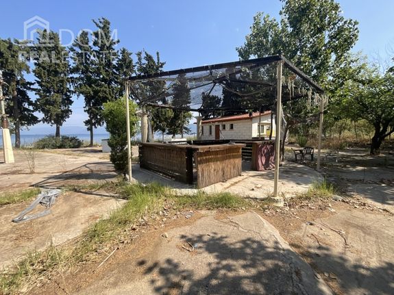 Αγροτεμάχια 3.325 τ.μ. πρός πώληση