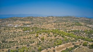 Αγροτεμάχια 4.000 τ.μ. για πώληση, Αργολίδα, Κρανίδι-thumb-23