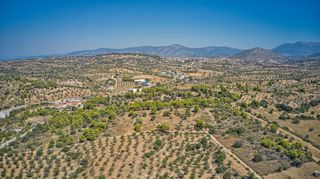 Αγροτεμάχια 4.000 τ.μ. για πώληση, Αργολίδα, Κρανίδι-thumb-19