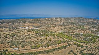 Αγροτεμάχια 4.000 τ.μ. για πώληση, Αργολίδα, Κρανίδι-thumb-12