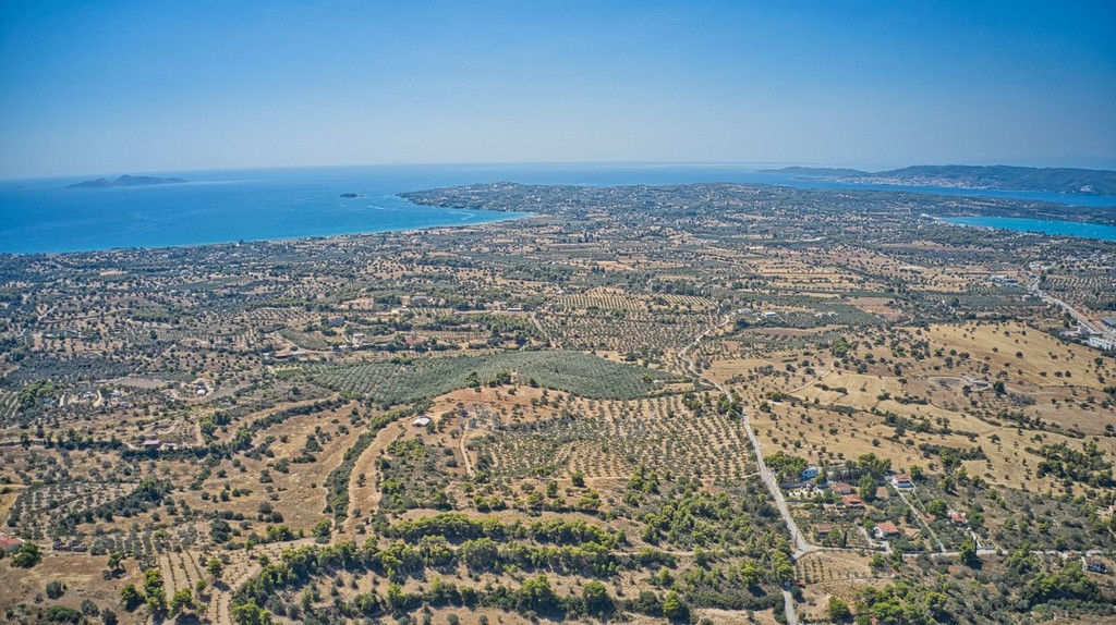 Αγροτεμάχια 4.000 τ.μ. προς πώληση, Κέντρο Κρανιδίου