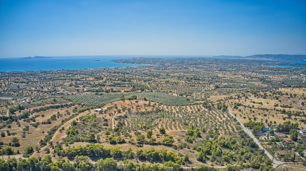 Αγροτεμάχια 4.000 τ.μ. προς πώληση, Κέντρο Κρανιδίου