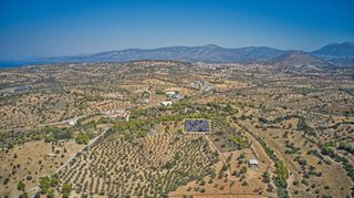 Αγροτεμάχια 4.000 τ.μ. για πώληση, Αργολίδα, Κρανίδι-thumb-11