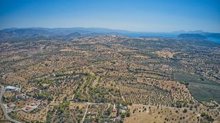 Αγροτεμάχια 4.000 τ.μ. για πώληση, Αργολίδα, Κρανίδι-thumb-14