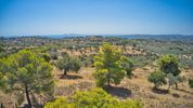 Parcel 4.000sqm for sale-Kranidi » Center