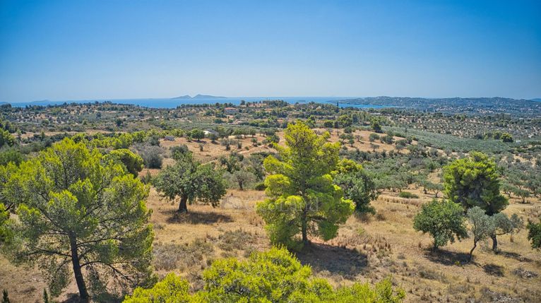 Αγροτεμάχια 4.000 τ.μ. για πώληση, Αργολίδα, Κρανίδι