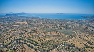 Αγροτεμάχια 4.000 τ.μ. για πώληση, Αργολίδα, Κρανίδι-thumb-8