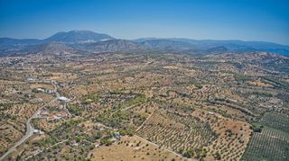 Αγροτεμάχια 4.000 τ.μ. για πώληση, Αργολίδα, Κρανίδι-thumb-10