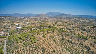 Αγροτεμάχια 4.000 τ.μ. για πώληση, Αργολίδα, Κρανίδι-thumb-22