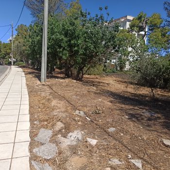 Οικόπεδο 1.300τ.μ. για πώληση-Πεύκη » Άνω πεύκη