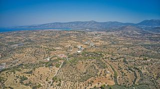 Αγροτεμάχια 4.008 τ.μ. για πώληση, Αργολίδα, Κρανίδι-thumb-15