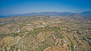 Αγροτεμάχια 4.008 τ.μ. για πώληση, Αργολίδα, Κρανίδι-thumb-10