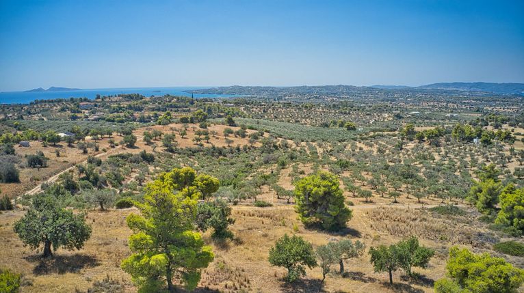 Αγροτεμάχια 4.008 τ.μ. για πώληση, Αργολίδα, Κρανίδι