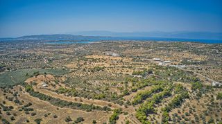 Αγροτεμάχια 4.008 τ.μ. για πώληση, Αργολίδα, Κρανίδι-thumb-18