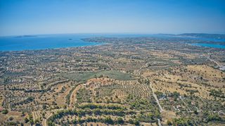 Αγροτεμάχια 4.008 τ.μ. για πώληση, Αργολίδα, Κρανίδι-thumb-22