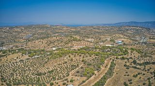 Αγροτεμάχια 4.008 τ.μ. για πώληση, Αργολίδα, Κρανίδι-thumb-19