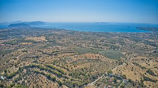 Αγροτεμάχια 4.008 τ.μ. για πώληση, Αργολίδα, Κρανίδι-thumb-6