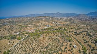 Αγροτεμάχια 4.008 τ.μ. για πώληση, Αργολίδα, Κρανίδι-thumb-13