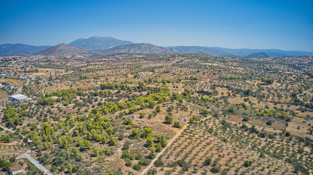 Αγροτεμάχια 4.008 τ.μ. πρός πώληση, Αργολίδα, Κρανίδι