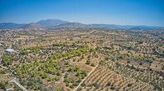 Αγροτεμάχια 4.008 τ.μ. για πώληση, Αργολίδα, Κρανίδι-thumb-3