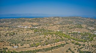 Αγροτεμάχια 4.008 τ.μ. για πώληση, Αργολίδα, Κρανίδι-thumb-14