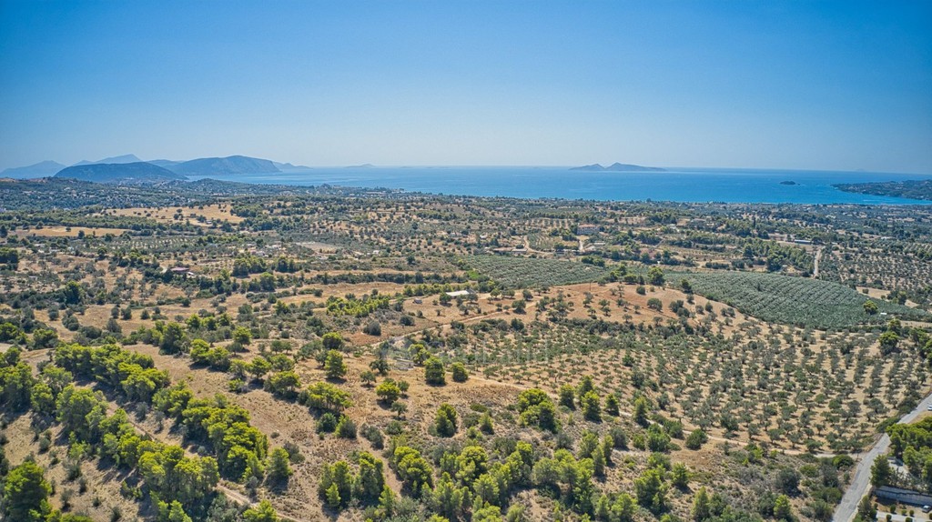 Αγροτεμάχια 4.008 τ.μ. πρός πώληση, Αργολίδα, Κρανίδι