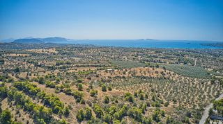 Αγροτεμάχια 4.008 τ.μ. για πώληση, Αργολίδα, Κρανίδι-thumb-1