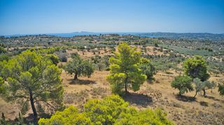 Αγροτεμάχια 4.008 τ.μ. για πώληση, Αργολίδα, Κρανίδι-thumb-23