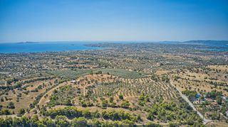 Αγροτεμάχια 4.008 τ.μ. για πώληση, Αργολίδα, Κρανίδι-thumb-24