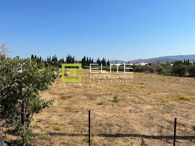Οικόπεδο 7.025 τ.μ. προς ενοικίαση, Μαγνησία, Νέα Ιωνία Βόλου