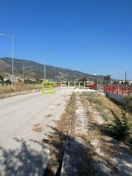 Οικόπεδο 7.025τ.μ. για ενοικίαση-Νέα ιωνία βόλου » Κέντρο