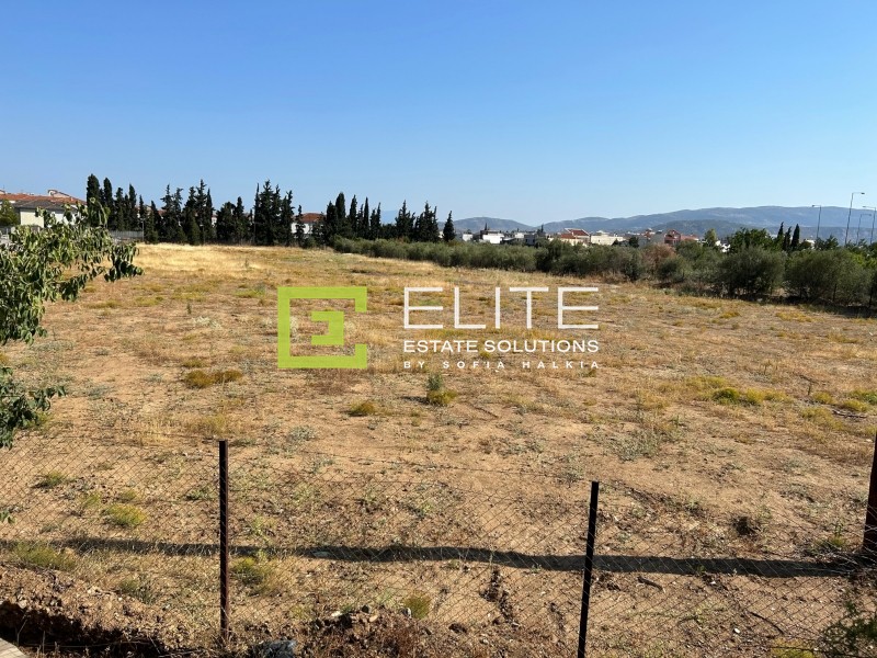 Οικόπεδο 7.025 τ.μ. προς ενοικίαση, Μαγνησία, Νέα Ιωνία Βόλου