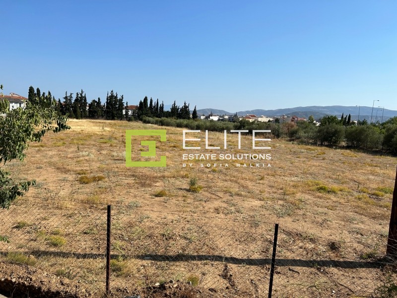 Οικόπεδο 7.025 τ.μ. προς ενοικίαση, Μαγνησία, Νέα Ιωνία Βόλου