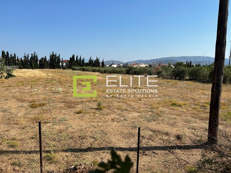 Οικόπεδο 7.025 τ.μ. προς ενοικίαση, Μαγνησία, Νέα Ιωνία Βόλου