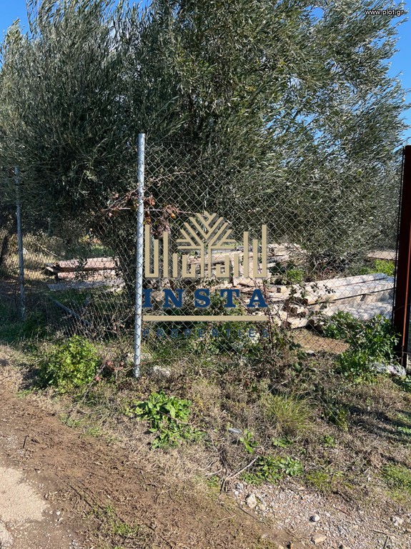 Οικόπεδο 1.500 τ.μ. πρός πώληση, Αττική - Υπόλοιπο, Κ. Καπανδριτίου