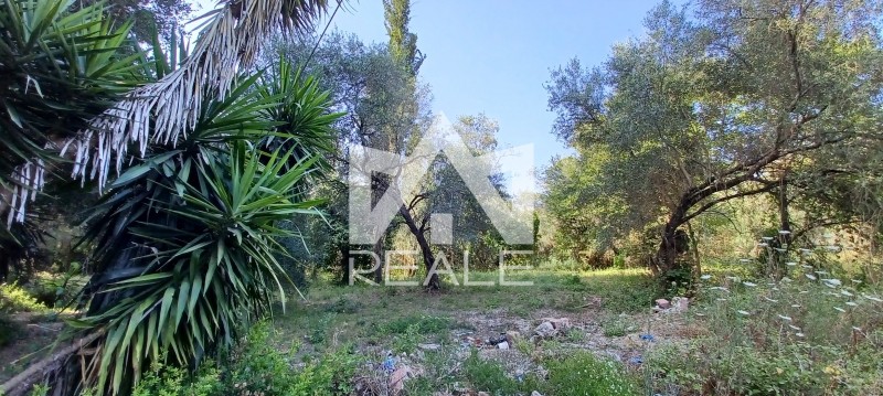 Οικόπεδο 7.757 τ.μ. προς πώληση, Ν. Κέρκυρας, Κέρκυρα