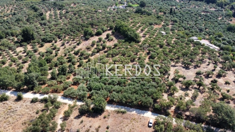 Αγροτεμάχια 2.756 τ.μ. προς πώληση, Νέο Χωριό Αρμενών
