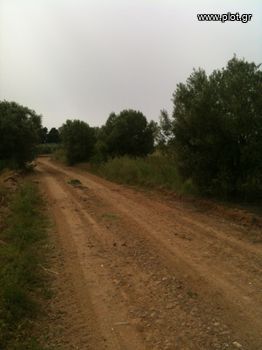 Parcel 2.500sqm for sale-Kassandra » Kassandreia