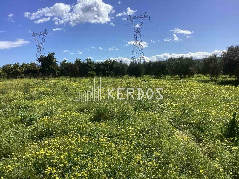 Οικόπεδο 4.086 τ.μ. προς πώληση, Νέο Χωριό Αρμενών