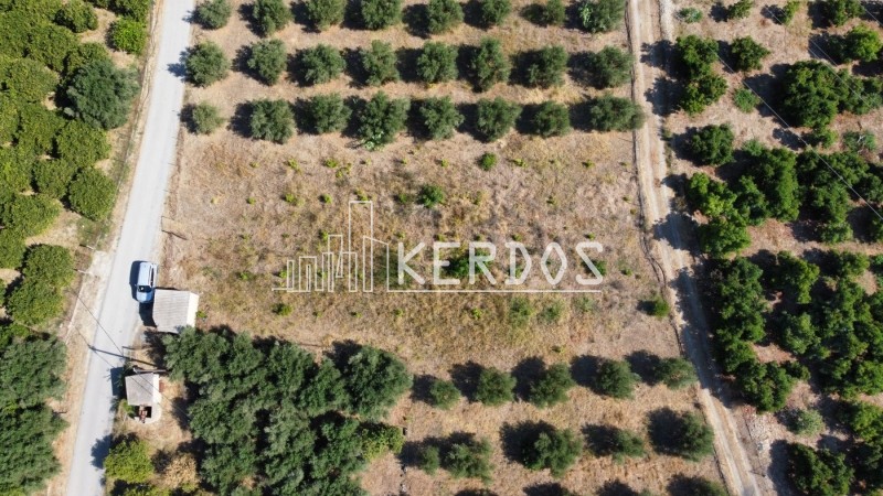 Οικόπεδο 4.086 τ.μ. προς πώληση, Νέο Χωριό Αρμενών