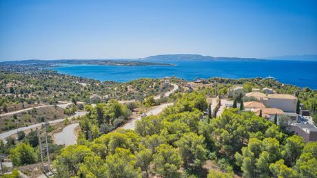 Οικόπεδο 400τ.μ. για πώληση-Κρανίδι » Βερβερούδα