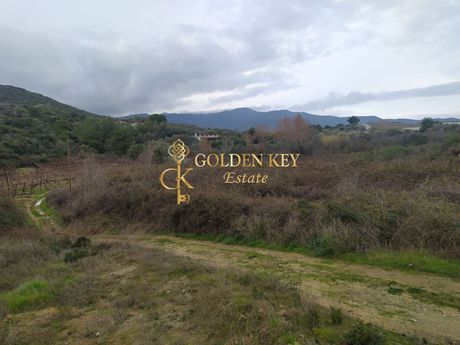 Parcel 4.063sqm for sale-Eleitheres » Paralia Elaiochoriou