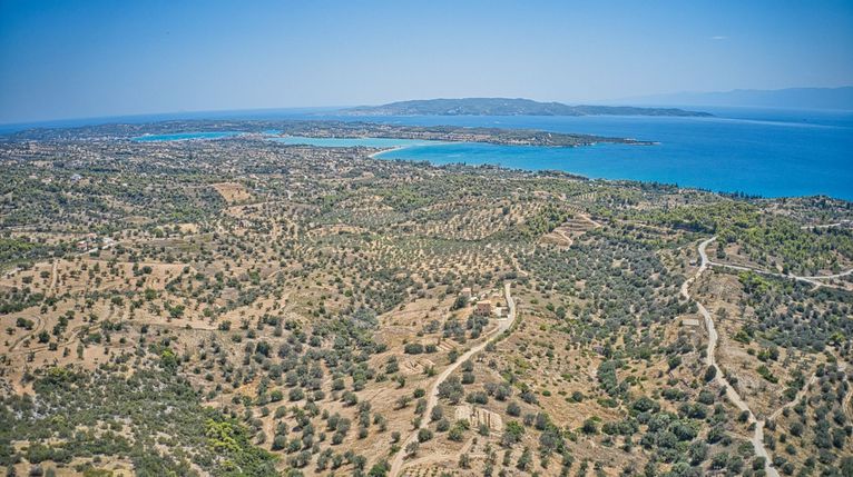 Αγροτεμάχια 22.559 τ.μ. για πώληση, Αργολίδα, Κρανίδι
