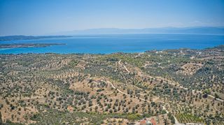 Αγροτεμάχια 22.559 τ.μ. για πώληση, Αργολίδα, Κρανίδι-thumb-17