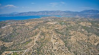 Αγροτεμάχια 22.559 τ.μ. για πώληση, Αργολίδα, Κρανίδι-thumb-14
