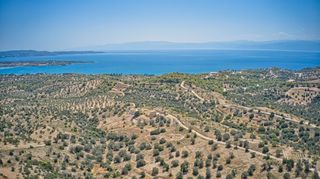 Αγροτεμάχια 22.559 τ.μ. για πώληση, Αργολίδα, Κρανίδι-thumb-18