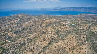 Αγροτεμάχια 22.559 τ.μ. για πώληση, Αργολίδα, Κρανίδι-thumb-12
