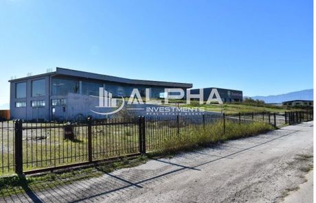 Επιχειρηματικό κτίριο 1.668 τ.μ. για πώληση