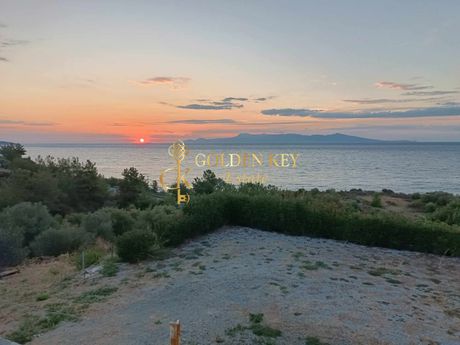 Parcel 3.000sqm for sale-Eleitheres » Paralia Elaiochoriou