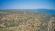 Parcel 6.837sqm for sale-Kranidi » Ververouda
